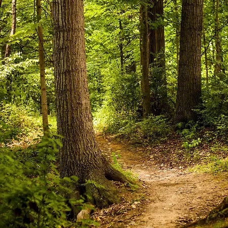 Thüringer Hof Hotel