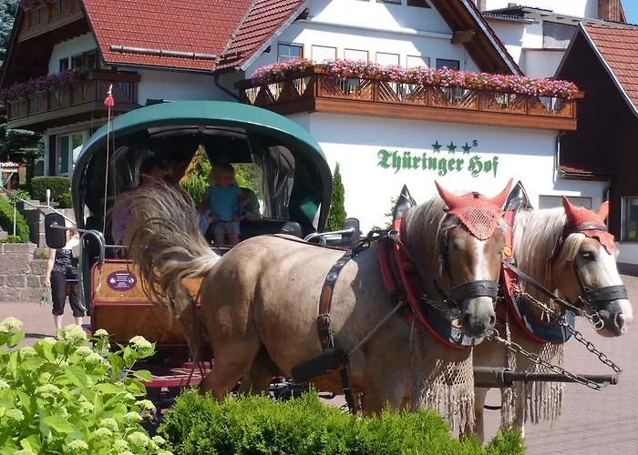 Thueringer Hof Hotel Floh